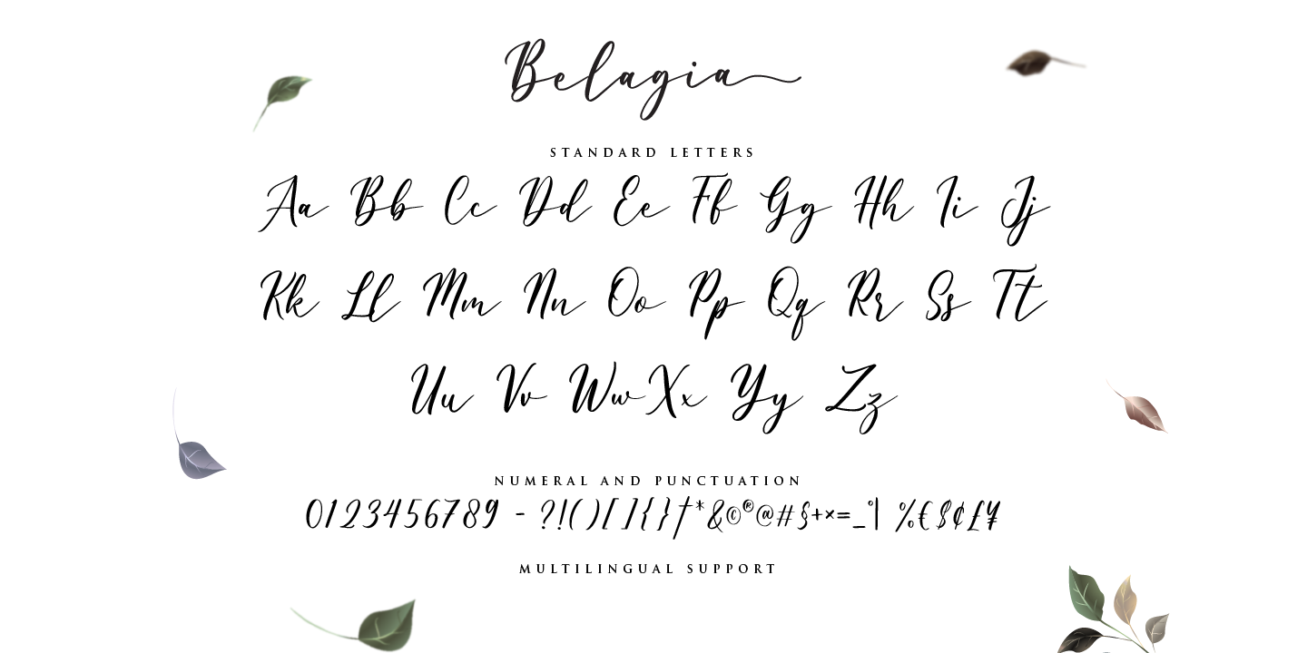 Belagia Regular Font preview